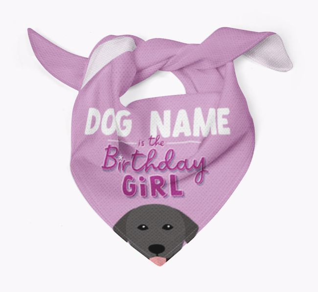 Birthday Girl: Personalised {breedFullName} Bandana